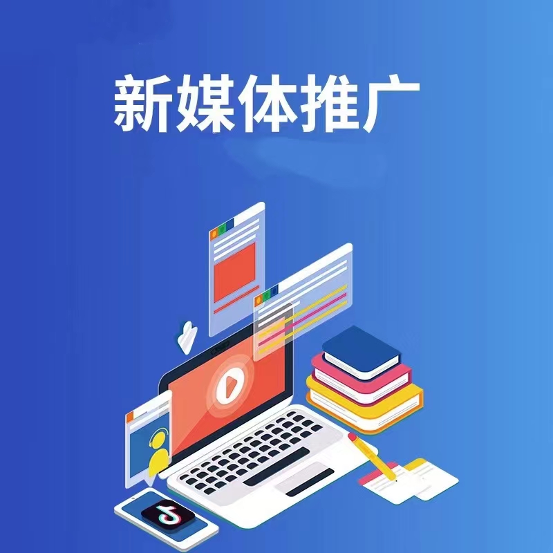 宣传图：预约入口与服务流程展示